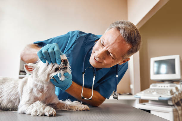 Best Pediatric Emergency Dentist in Weatherford, OK